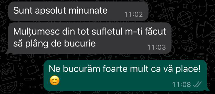 Imagine WhatsApp 2024-09-24 la 11.14.43_e98425e7 (1)